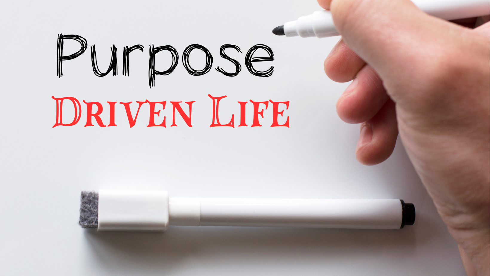 Purpose Driven Life – You were shaped to serve God.